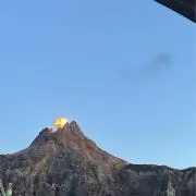 かの画像