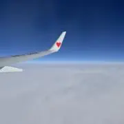Rの画像