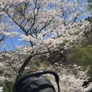 mk☆の画像