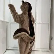 kumaの画像