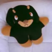 ぶりの画像