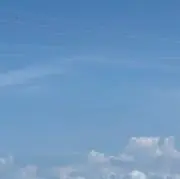 うどん❣️即返信可！即購入可！値下げ可！の画像