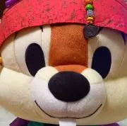 コルヴィナスの画像