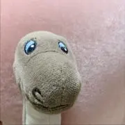 まめまるの画像