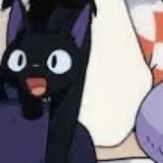 いぬの画像