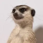 こな