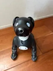 はるたろう