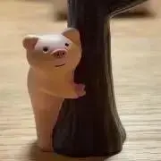 sachiの画像