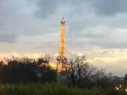のんたんの画像