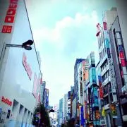 なすび