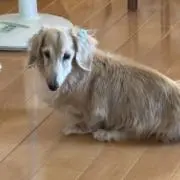 みっちゃんの画像
