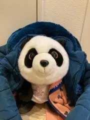 若蛙の画像