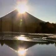3204の画像