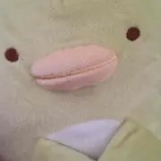 かここの画像