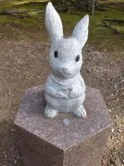 お魚くんの画像