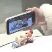 nicoの画像
