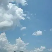 柴田　お値下げ交渉お気軽にどうぞの画像