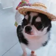 王子
