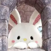 ぴょんの画像