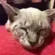mokku(◡‿◡ฺ✿)購入前にコメント