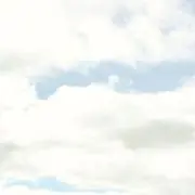 ぷらむの画像