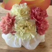 みかん*＊即購入歓迎♪の画像