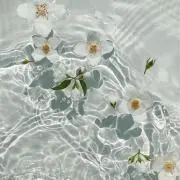 この