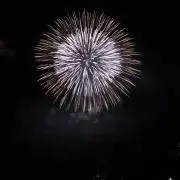 taの画像