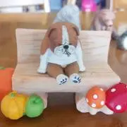 まころん