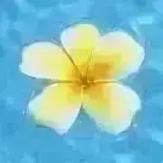 HANA＊プロフィール必読お願いします