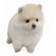 えむ【プロフ確認お願いします】の画像