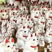 あずきの画像