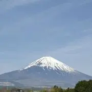 WTの画像