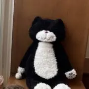 ssの画像