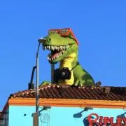 diliniの画像
