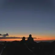 ワカメの画像