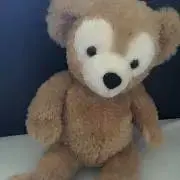 Riiの画像