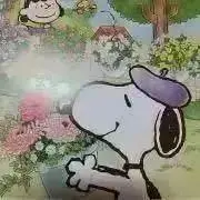 そらちゃんの画像
