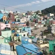 ann.