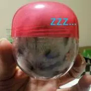 PUKU☆413