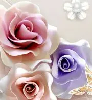 SHIeの画像
