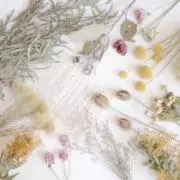 hii❁まとめ買い大歓迎の画像