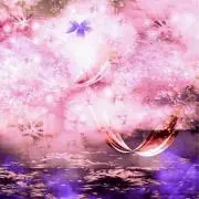 あん