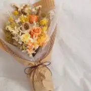 ひなこの画像