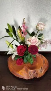 フーチャンの画像