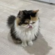mの画像