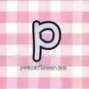 しょぴっ様専用♡B&ZAI衣装オーダーページ - メルカリ