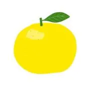 甘夏みかんの画像