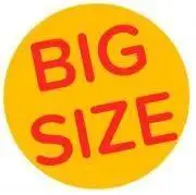 古着屋BIG SIZE【フォロー割】の画像