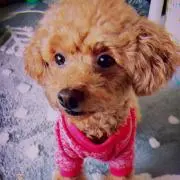 えりさの画像